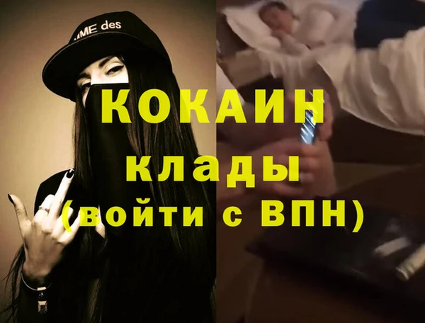 мяу мяу мука Коряжма