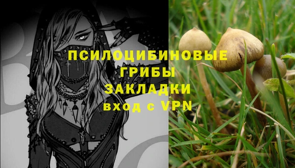 МДПВ Корсаков