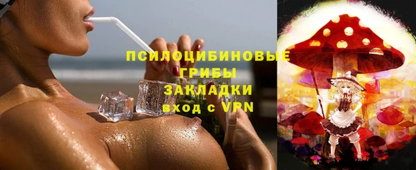 хмурый Костерёво