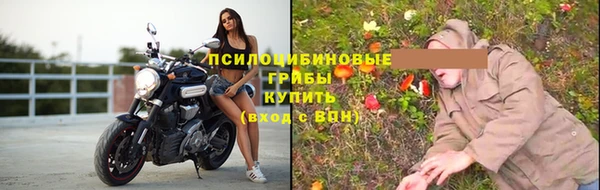 винт Краснослободск
